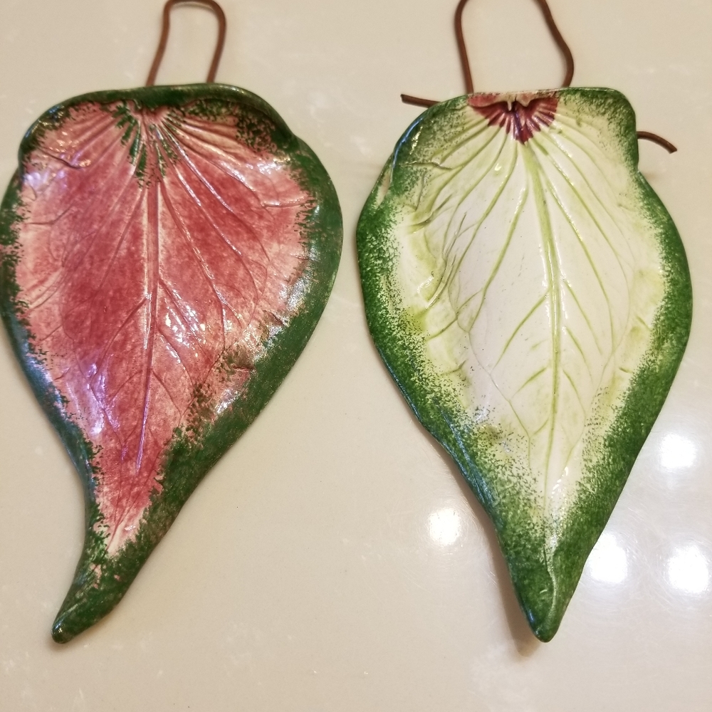 Caladium leaf wall hanging - Picture 4 of 5